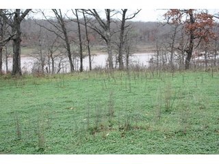 Property photo 21 - Creek County - Oklahoma Land Auction, 1,107 Acres 2 Tracts